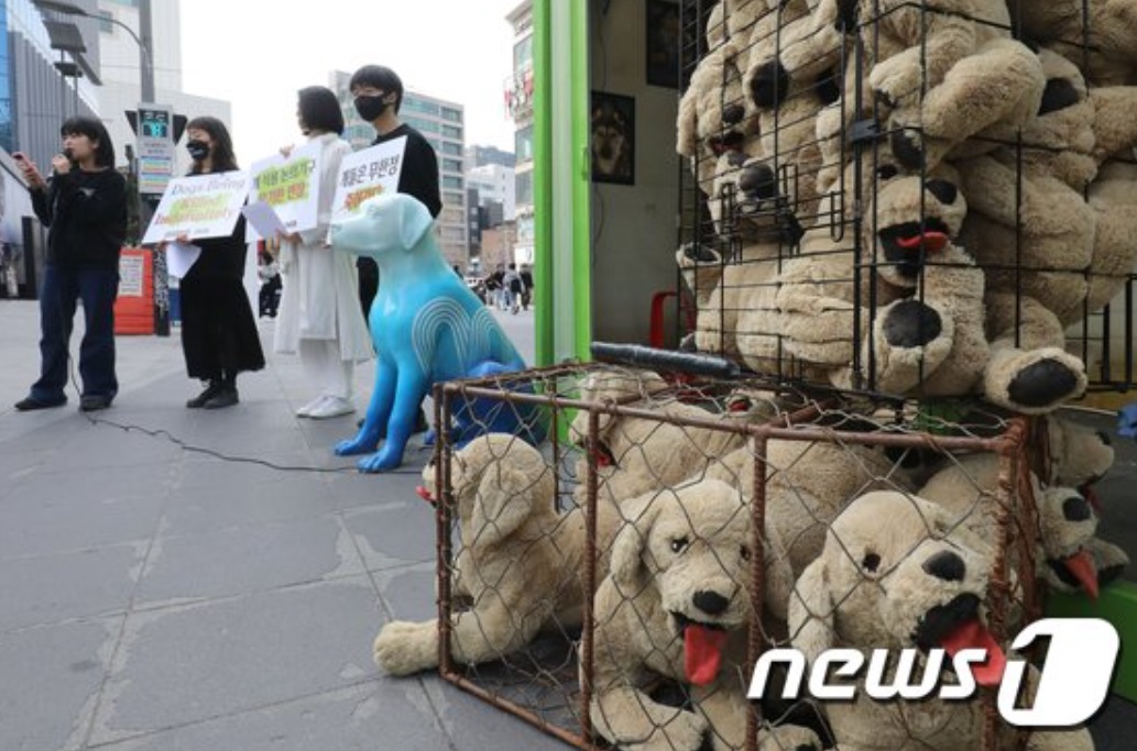 韓国の犬食、果たして終息するのか…社会的合意づくり、難航 | KOREA WAVE