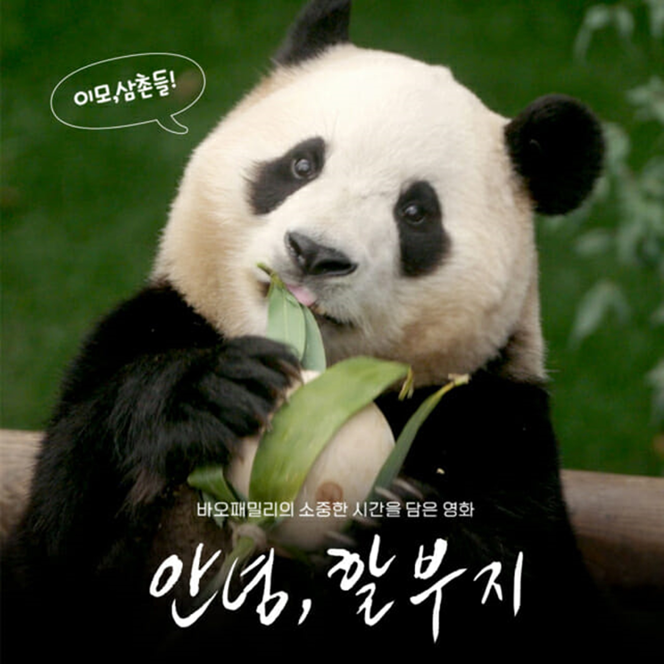 エバーランド フバオ バオファミリー バッテリー 【公式通販】