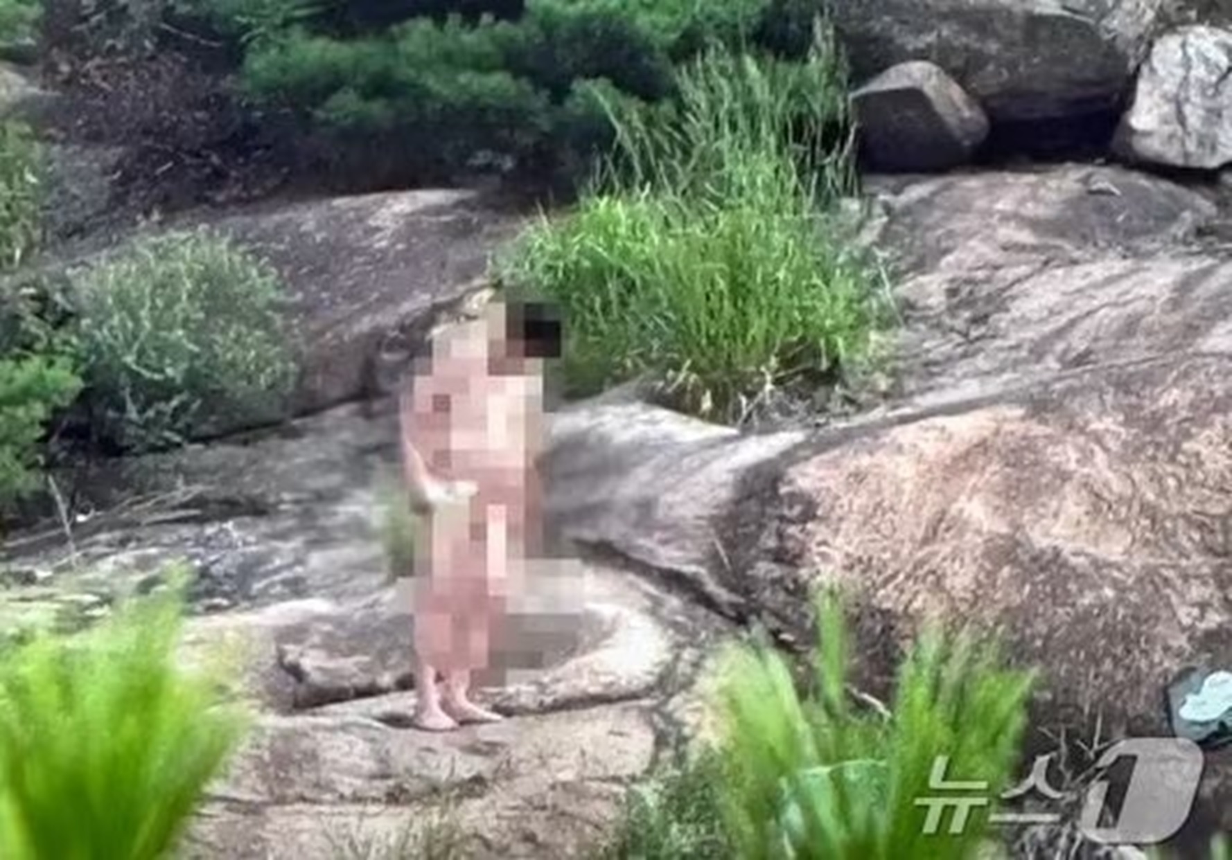 韓国裸 