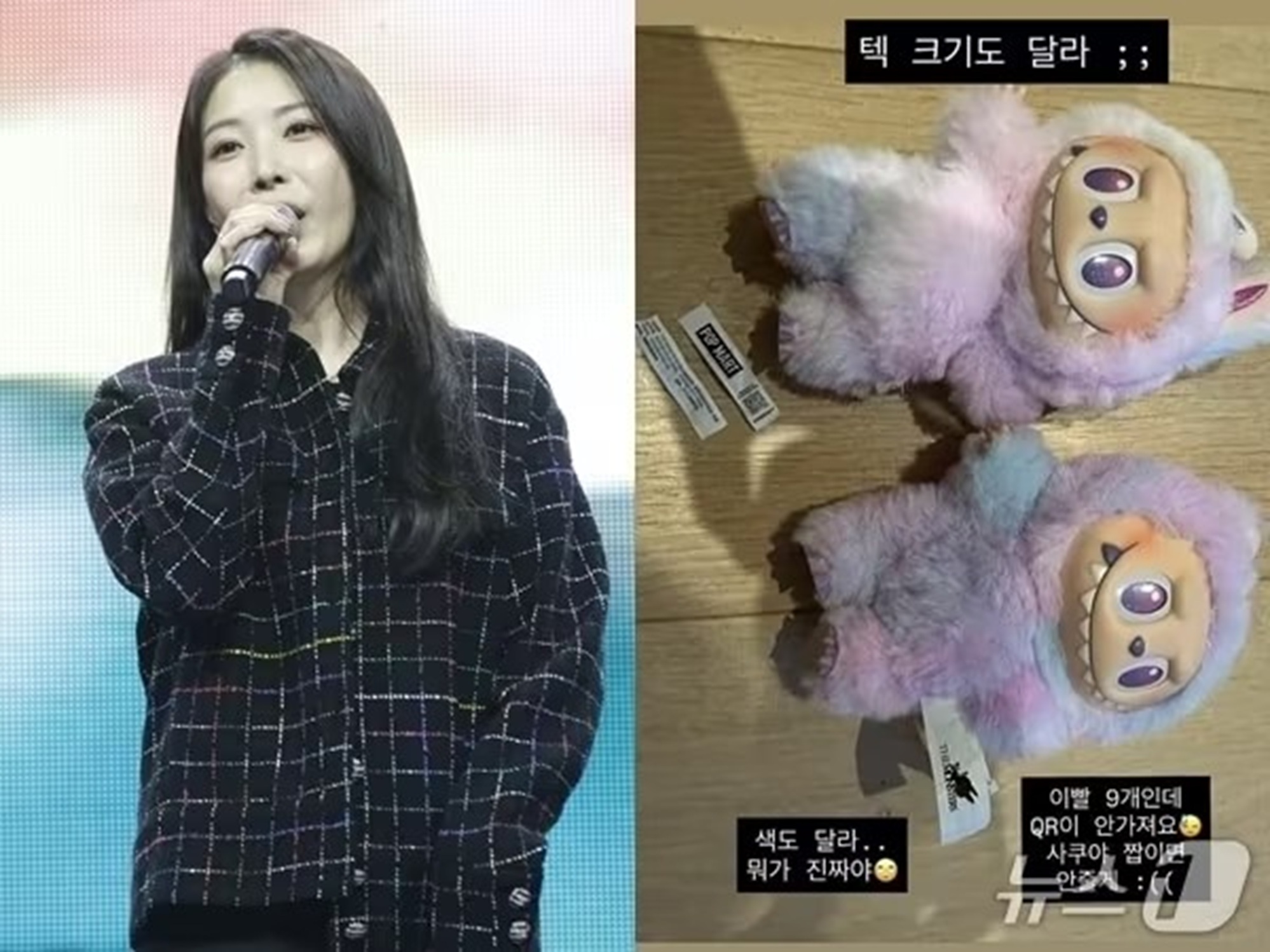 韓流歌手BoAも「LABUBU」偽物被害に怒り…「責任取って」 | KOREA WAVE