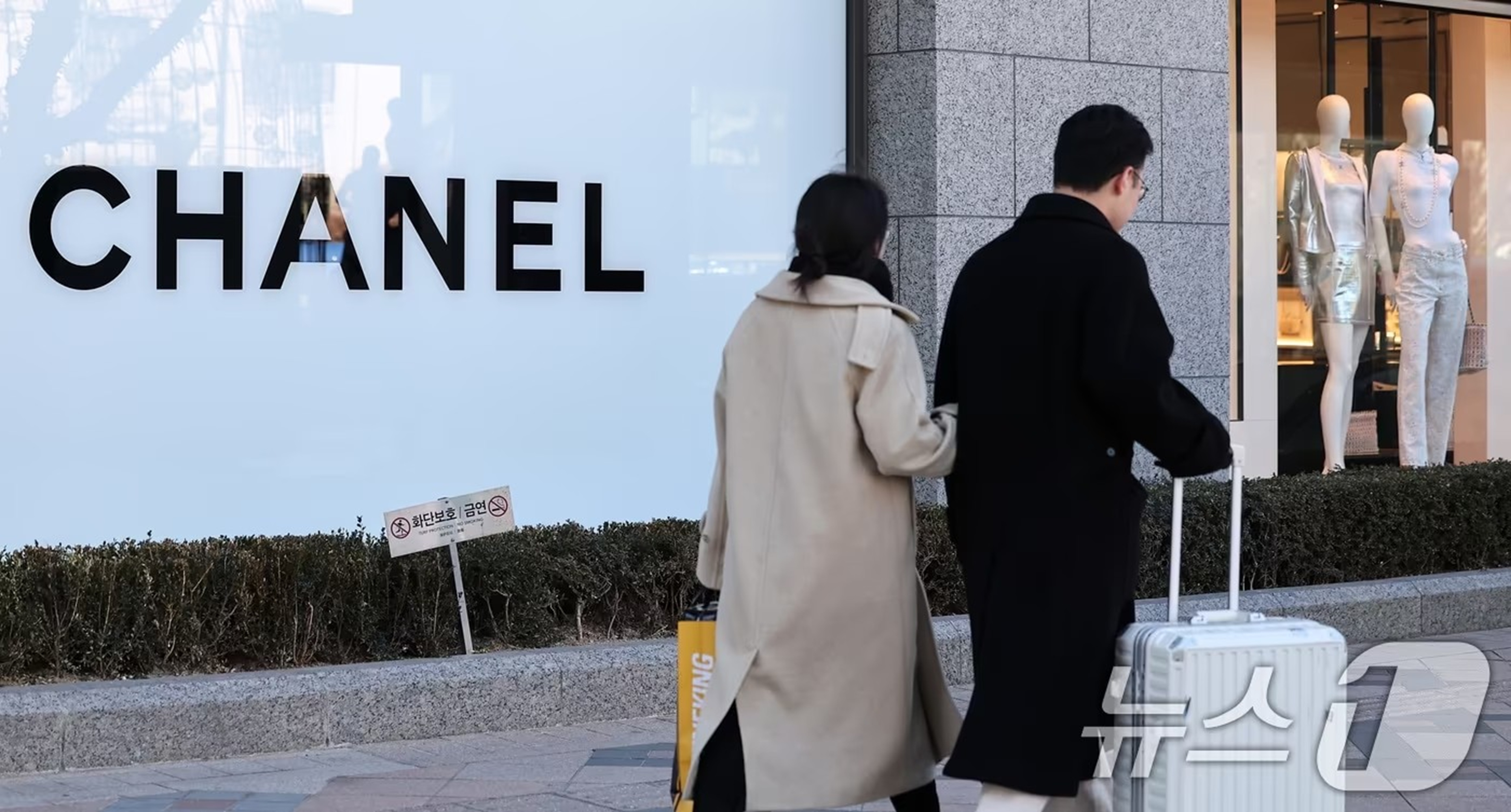シャネルバッグ「ウォン安で免税店より百貨店が安い」…韓国で広がる「逆転現象」 | KOREA WAVE